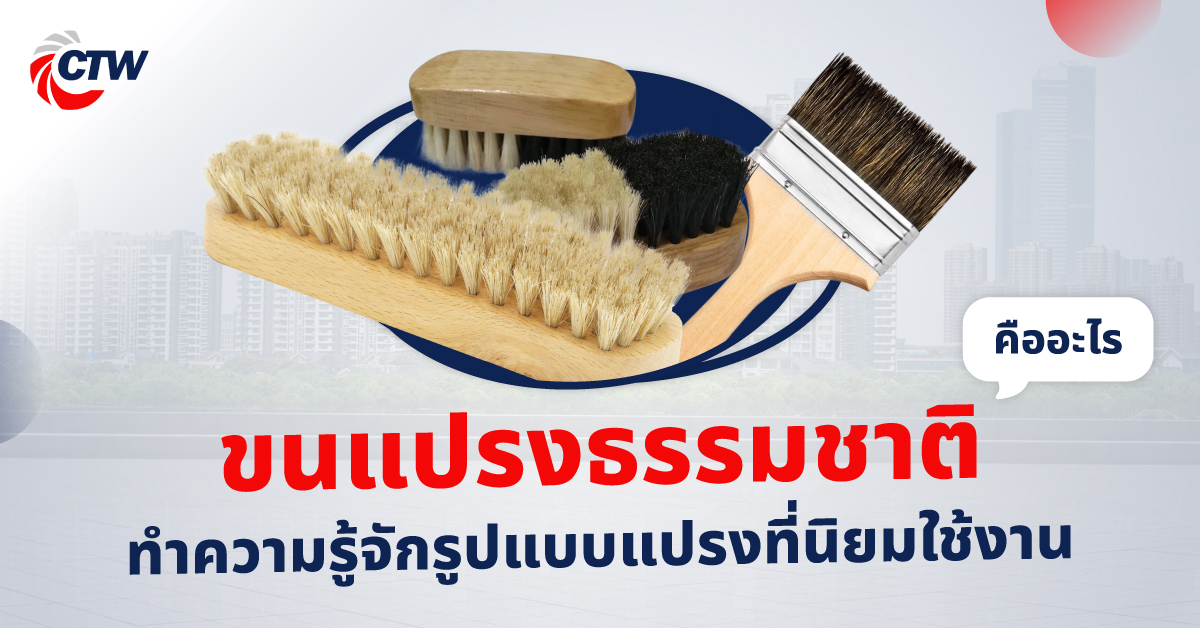 ขนแปรงธรรมชาติ คืออะไร ทำความรู้จักรูปแบบแปรงที่นิยมใช้งาน