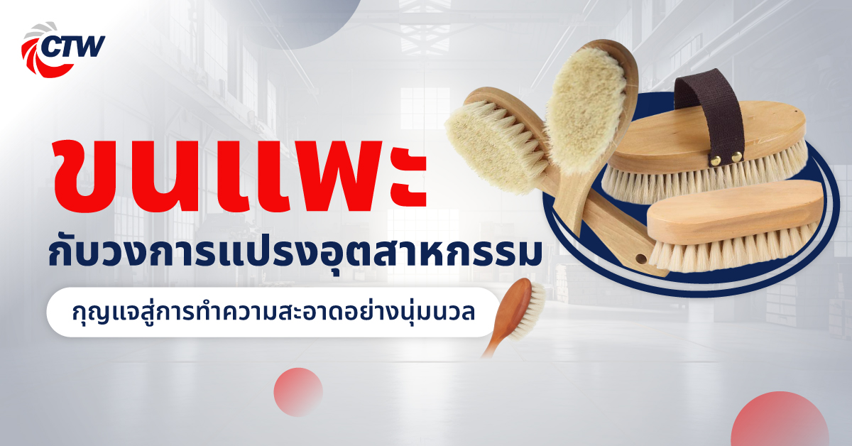 ขนแพะกับวงการแปรงอุตสาหกรรม กุญแจสู่การทำความสะอาดอย่างนุ่มนวล