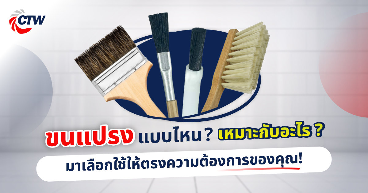 ขนแปรงแบบไหน เหมาะกับอะไร เลือกใช้ให้ตรง