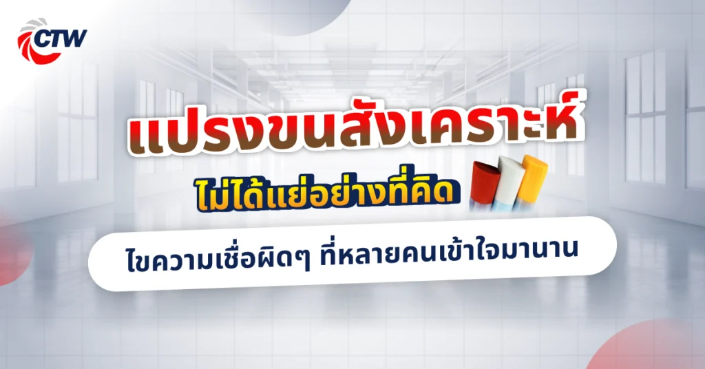 แปรงขนสังเคราะห์ไม่ได้แย่อย่างที่คิด ไขความเชื่อผิดๆ ที่หลายคนเข้าใจมานาน